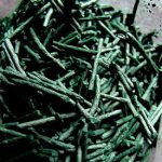 Spirulina Can Help Manage Blood Sugar Spirulina Can Help Manage Blood Sugar