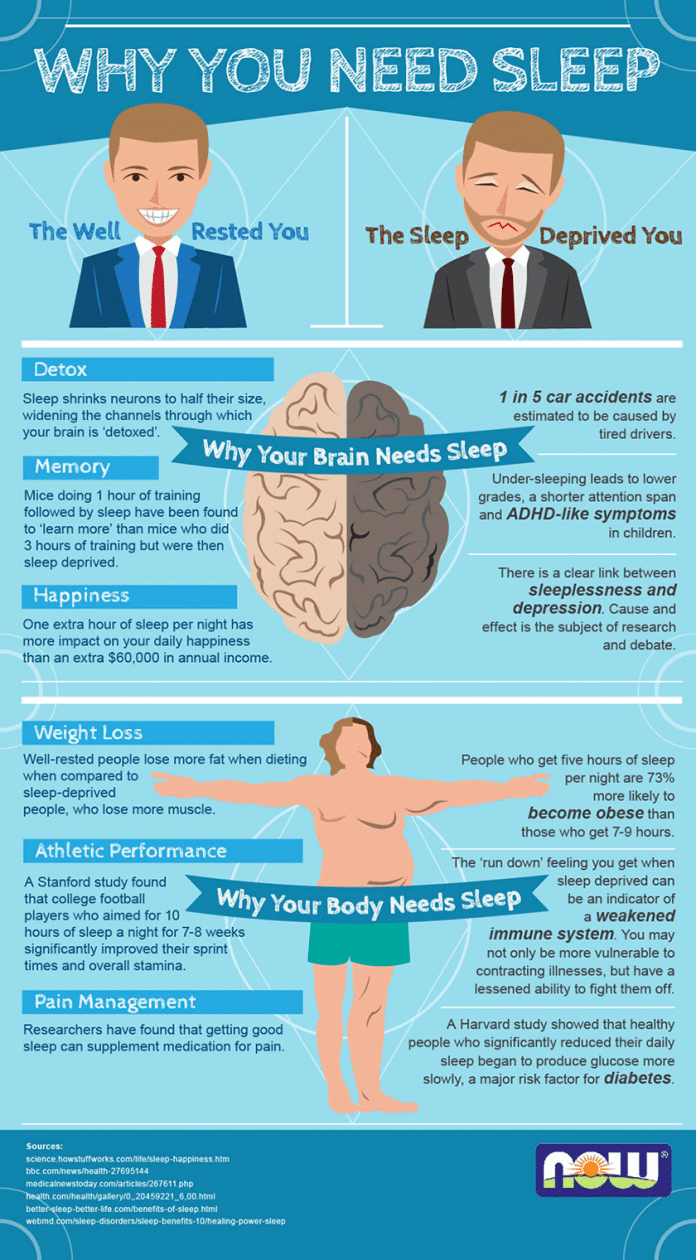 [Infographic] Why You Need Sleep 