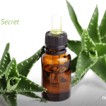 Aloe Vera: Nature’s Beauty Secret Aloe Vera: Nature’s Beauty Secret