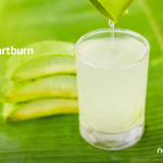 Why You Need Aloe Vera If You Have Heartburn or Indigestion Why You Need Aloe Vera If You Have Heartburn or Indigestion