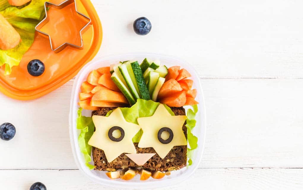 https://naturallysavvy.com/wp-content/uploads/2018/11/The-Healthiest-Lunch-Boxes-and-Containers-for-Your-Kids.jpg
