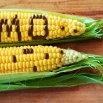 Top 10 Reasons to Avoid GMOs Top 10 Reasons to Avoid GMOs