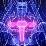 What to Do for Painful Pap Tests What to Do for Painful Pap Tests
