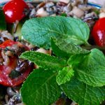 Wild Rice Salad Recipe with Mint and Pink Salt Wild Rice Salad Recipe with Mint and Pink Salt