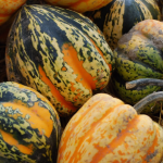 Why You Should Eat More Acorn Squash Why You Should Eat More Acorn Squash
