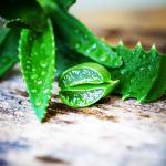 8 Ways To Naturally Reduce The Appearance of Scars 8 Ways To Naturally Reduce The Appearance of Scars