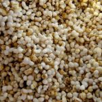What is Amaranth? What is Amaranth?