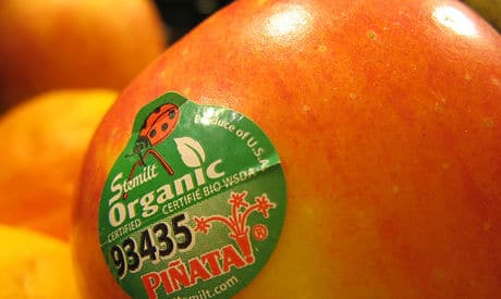 Is The Glue On My Apple Label Safe? 