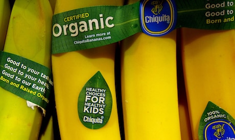 5 Things You Thought You Knew About Organic Food But You Don’t 