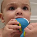 Prenatal Exposure to Phthalates Disrupts Male Development, Study Finds Prenatal Exposure to Phthalates Disrupts Male Development, Study Finds