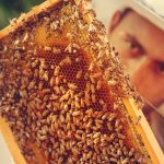 General Mills’ Sweet Honeybee Commercial Stings General Mills’ Sweet Honeybee Commercial Stings