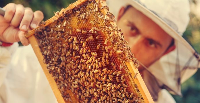 General Mills’ Sweet Honeybee Commercial Stings 