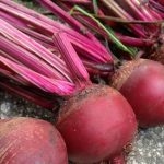 The Health Benefits of Beets The Health Benefits of Beets
