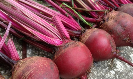 The Health Benefits of Beets 