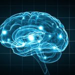 It's Never Too Late To Gain New Brain Cells