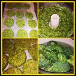 Veggie Burgers Recipe with Broccoli and Oats Veggie Burgers Recipe with Broccoli and Oats