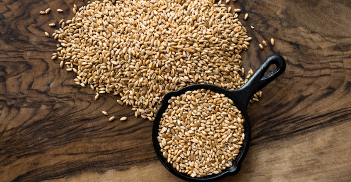 What is Bulgur & Why Should We Eat It? 