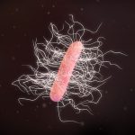 C. Difficile, Digestive Health, and How To Protect Yourself C. Difficile, Digestive Health, and How To Protect Yourself