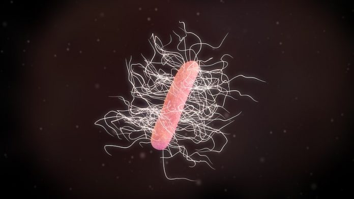 C. Difficile, Digestive Health, and How To Protect Yourself 