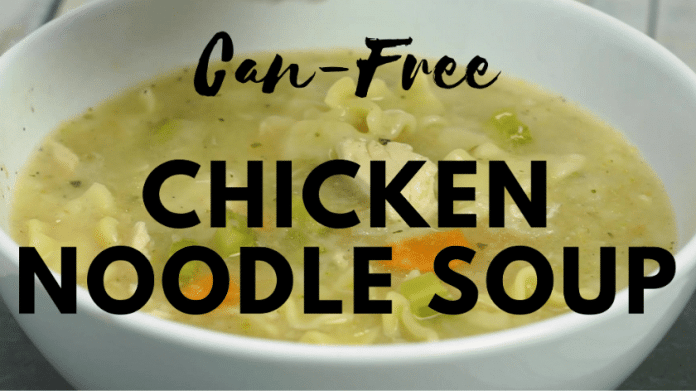 Slow Cooker Can-Free Chicken Noodle Soup 