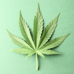 Cannabinoids: The Miracle Compounds Behind Cannabis Cannabinoids: The Miracle Compounds Behind Cannabis
