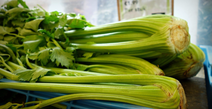 6 Awesome Benefits of Celery + Recipes 