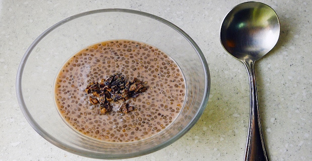 Chocolate Protein Chia Seed Pudding Recipe 