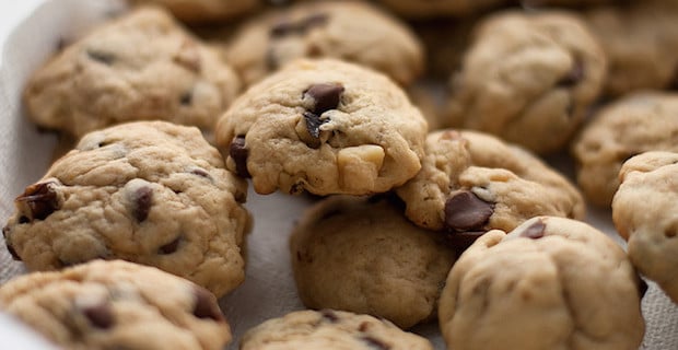 Gluten-Free Applesauce Chocolate Chip Cookies 