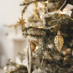 Could Your Christmas Tree Have Mold? Could Your Christmas Tree Have Mold?