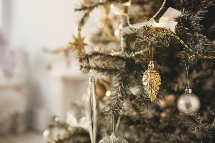 Could Your Christmas Tree Have Mold? 