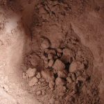 Good News for Chocolate Lovers: Cocoa May Help Control Diabetes Good News for Chocolate Lovers: Cocoa May Help Control Diabetes