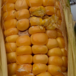 Research Shows Significant Differences between GMO and Conventional Corn Research Shows Significant Differences between GMO and Conventional Corn