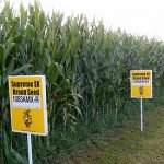 GMO Laws Around the World GMO Laws Around the World