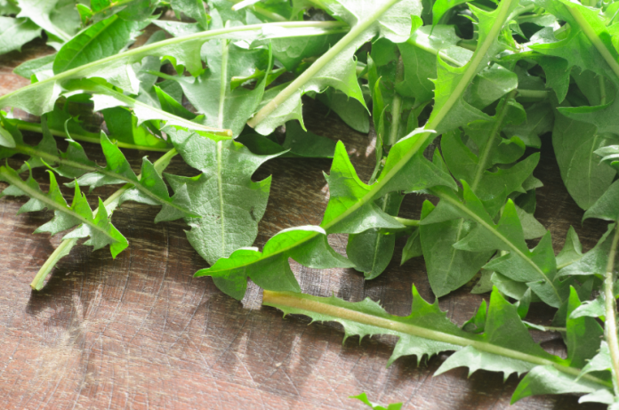 Dandelion Detox Salad 