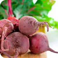 Can't Beet It 