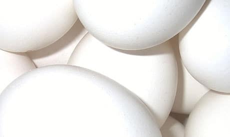Can Egg Whites Lower Blood Pressure? 