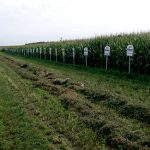 EPA Raises Limits of Monsanto’s Toxic Herbicide Glyphosate EPA Raises Limits of Monsanto’s Toxic Herbicide Glyphosate