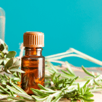 8 Best Essential Oil Recipes for Fall 8 Best Essential Oil Recipes for Fall