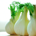 5 Reasons to Eat More Fennel 5 Reasons to Eat More Fennel