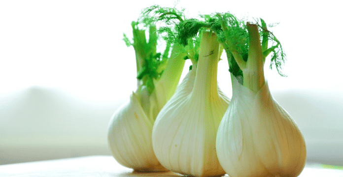 5 Reasons to Eat More Fennel 