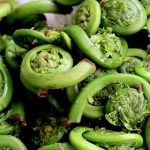 In Season Now: Fiddleheads! In Season Now: Fiddleheads!