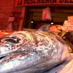 The 5 Best Reasons to Never Ever Eat Factory-Farmed Fish The 5 Best Reasons to Never Ever Eat Factory-Farmed Fish