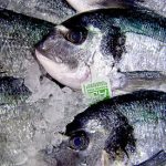How to Avoid Contaminated Fish How to Avoid Contaminated Fish