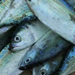 Eating Fish During Pregnancy: What You Need to Know Eating Fish During Pregnancy: What You Need to Know