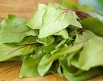 Canning And Freezing Greens Canning And Freezing Greens