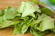 Canning And Freezing Greens 