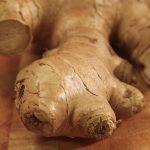The Health Benefits of Ginger The Health Benefits of Ginger