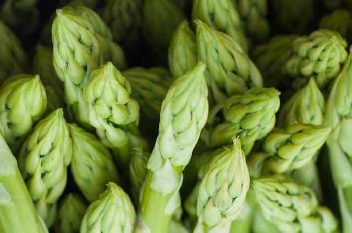 Why Asparagus Makes Your Pee Smell & 8 More Strange Food Side-Effects 