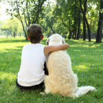 How Animals Protect and Impact Humans and Their Health How Animals Protect and Impact Humans and Their Health