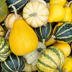 9 Heirloom Winter Squash Varieties 9 Heirloom Winter Squash Varieties Just in Time For Fall